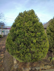 Similar image 22452374