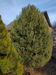 Similar image 22452375