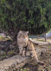 Similar image 22452376