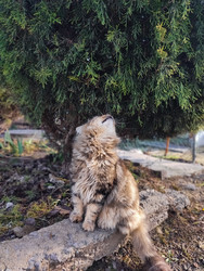 Similar image 22452377