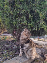 Similar image 22452379