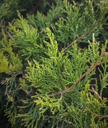 Similar image 22448189