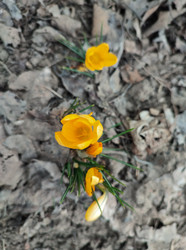 Similar image 22448199