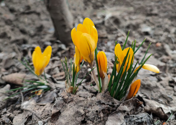 Similar image 22448200