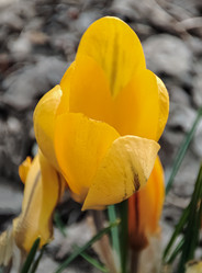 Similar image 22448201