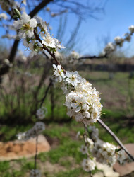 Similar image 22448202