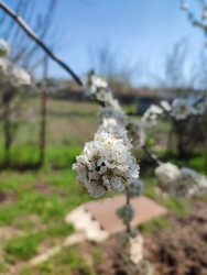 Similar image 22448203