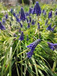 Similar image 22448204