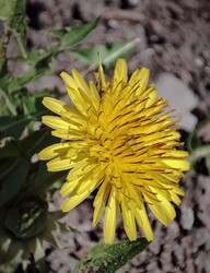 Similar image 22448205