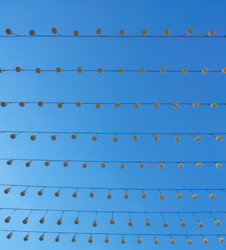 Similar image 22448206