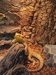 Similar image 22448210