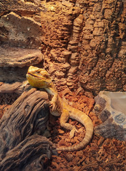 Similar image 22448211