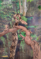 Similar image 22448212