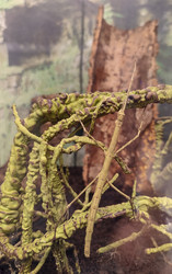 Similar image 22448213