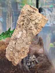 Similar image 22448214