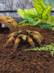 Similar image 22448215