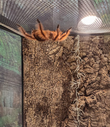 Similar image 22448216