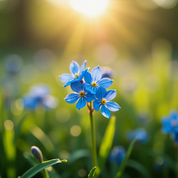 Similar image 22464316