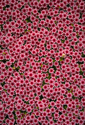 Similar image 22464328