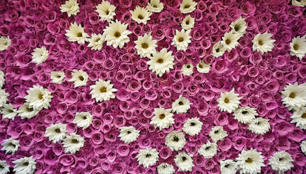 Similar image 22464362