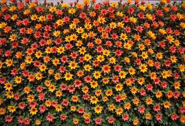 Similar image 22464389