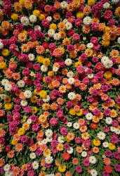 Similar image 22464419