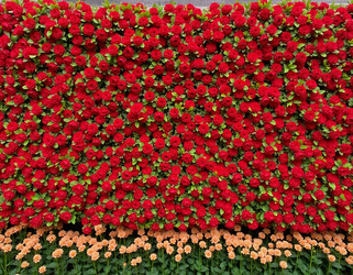 Similar image 22464492