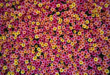 Similar image 22468589