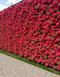 Similar image 22468618