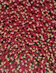 Similar image 22468631