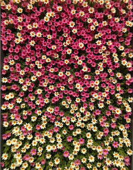 Similar image 22468649