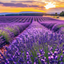 Similar image 22402599