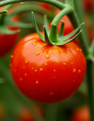 Similar image 22402630