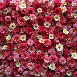 Similar image 22402657