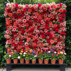 Similar image 22456239