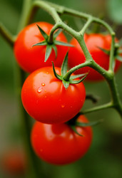 Similar image 22464299