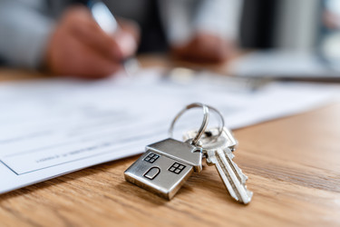 Similar image 22422052