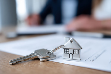 Similar image 22422054