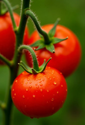 Similar image 22468678