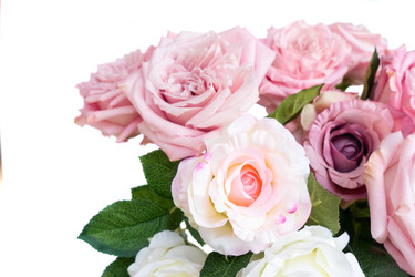 Similar image 22422121