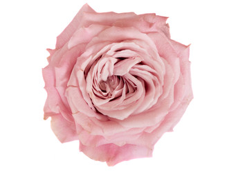 Similar image 22422122