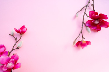 Similar image 22422140