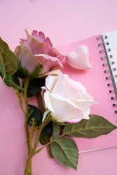 Similar image 22422142