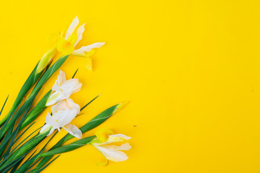 Similar image 22422157