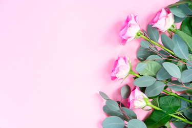 Similar image 22422160