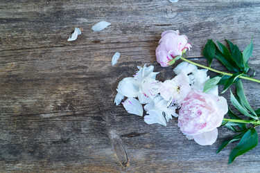 Similar image 22422167