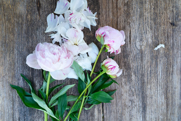 Similar image 22422168