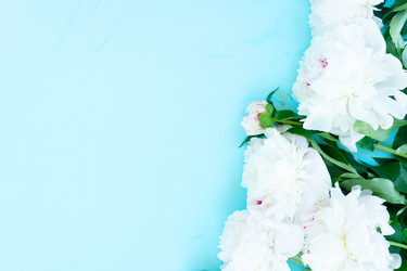 Similar image 22422194