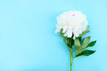 Similar image 22422195