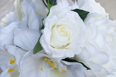 Similar image 22422204